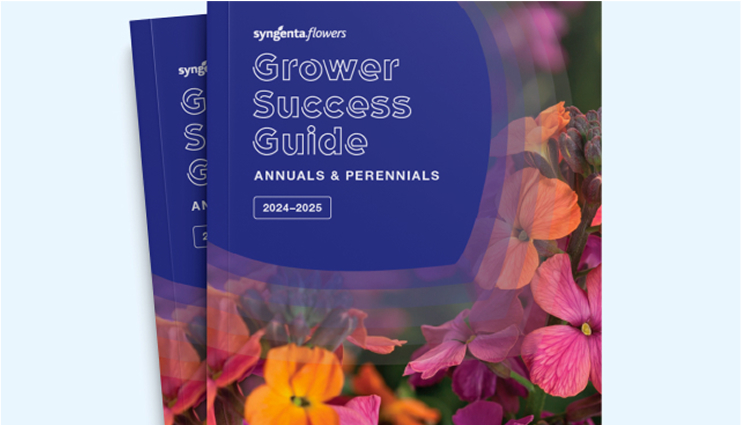 New Varieties Vegetative Annuals | Syngenta Flowers