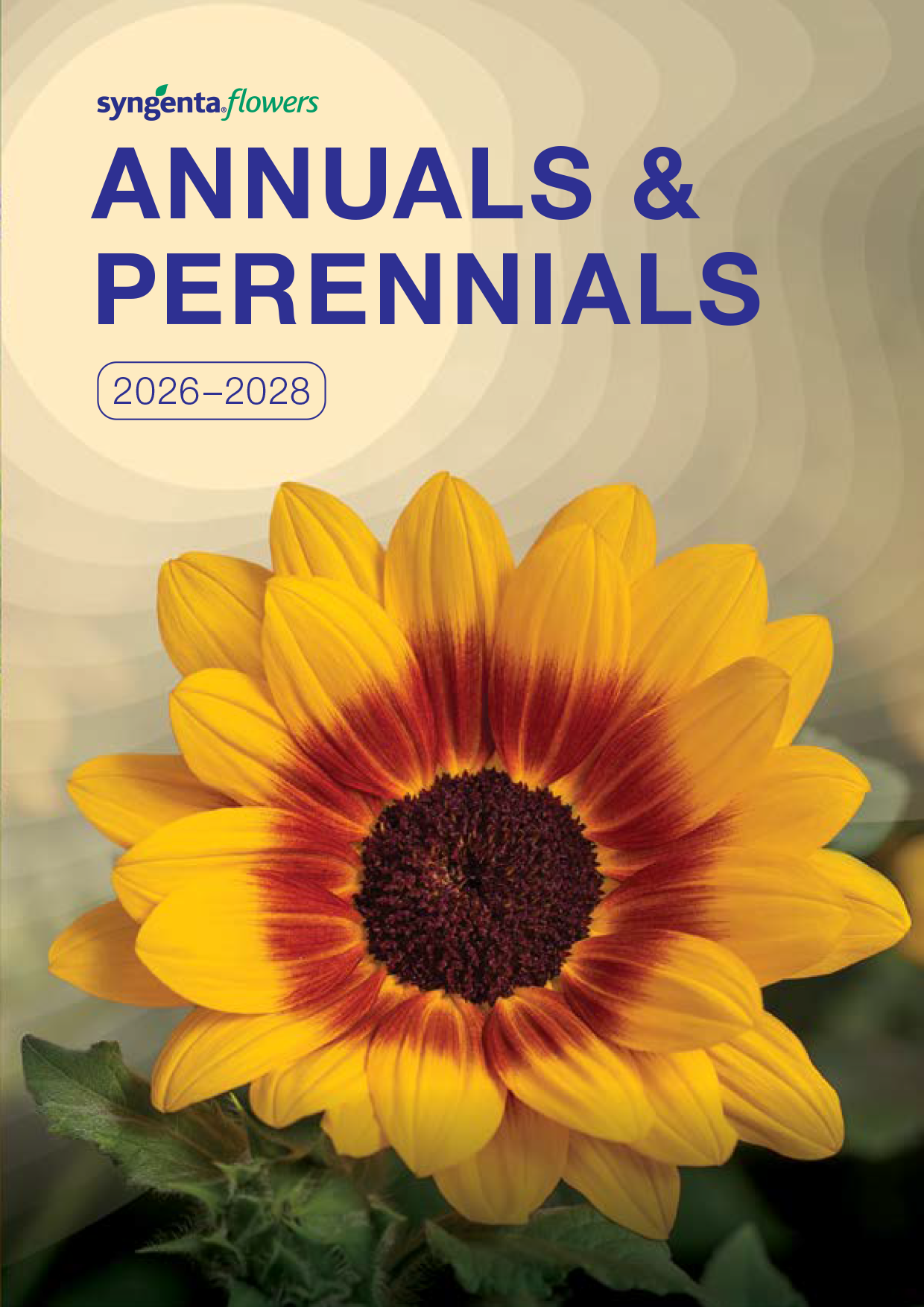 Distributors | Syngenta Flowers