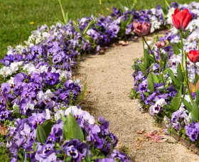 Delta™ Pro Lavender Blue Shades