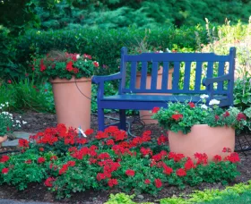 Caliente® Deep Red
