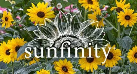 Power brand Synfinity