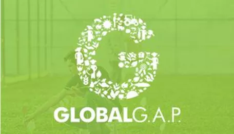 Sustainability
