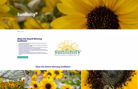 Sunfinity Webpage