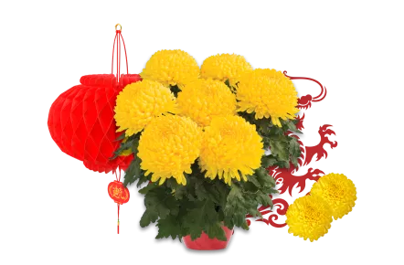 Lunar New Year