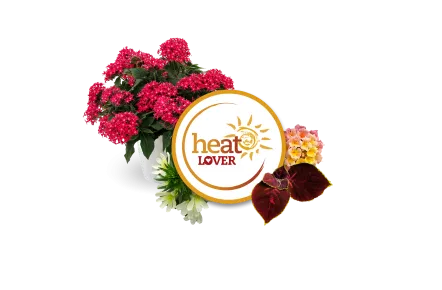 Heat Lover