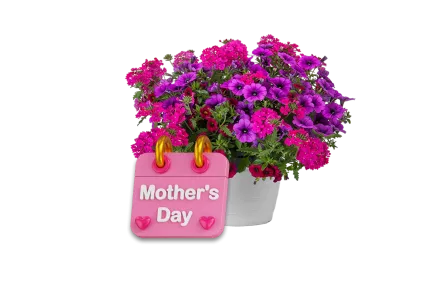 Mothers Day