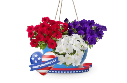 Patriotic Combinations