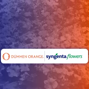 Flower Joint Venture