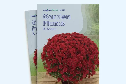 Book cover with red flowers and title "Garden Mums: A Starter"Gar