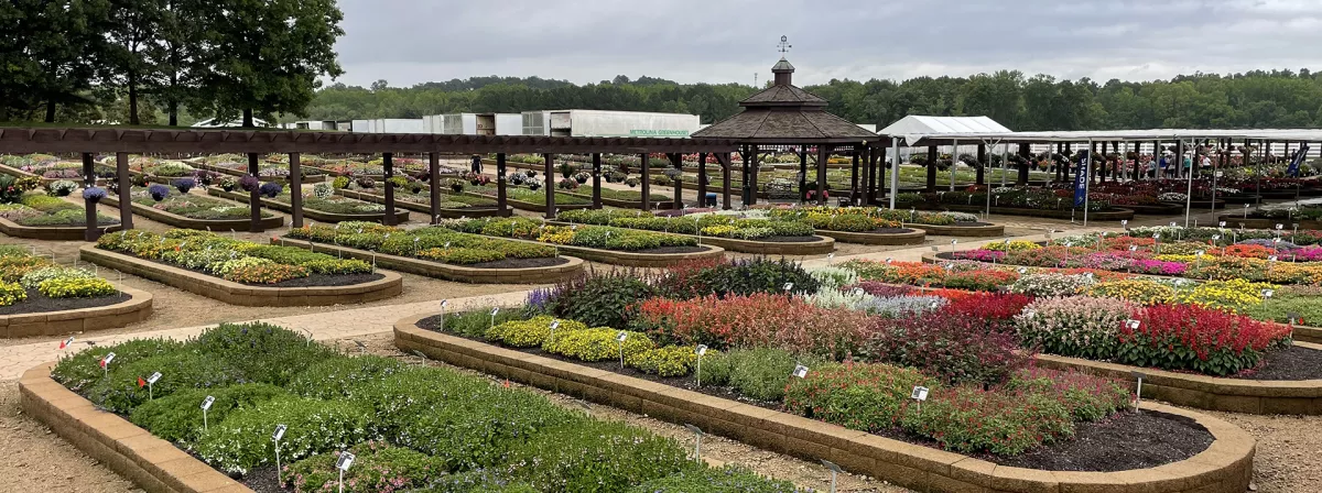 2025 Metrolina Greenhouses