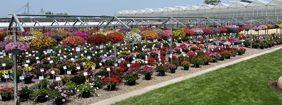 2025 PlantPeddler