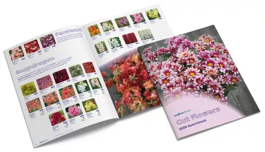 Cut Flowers Brochure