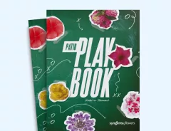 Patio Playbook 2025