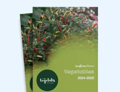 Vegetalis 2024-2025