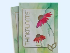Thinkplants Catalog