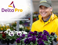 Delta Pro