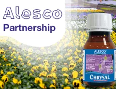 Alesco Partnership