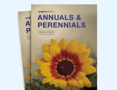 2026-2028 Annuals and Perennials Catalog