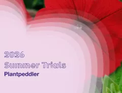 2026 Plantpeddler Trials