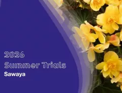 2026 Sawaya Trials