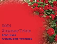 2026 East Texas Extension Trial