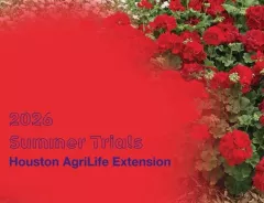 2026 Houston AgriLife Extension Trial