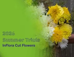 2026 InFlora Cut Flower Trial