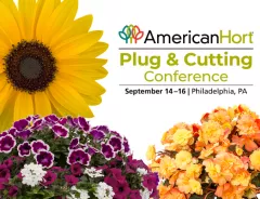 2026 Plug and Cutting Thumbnail