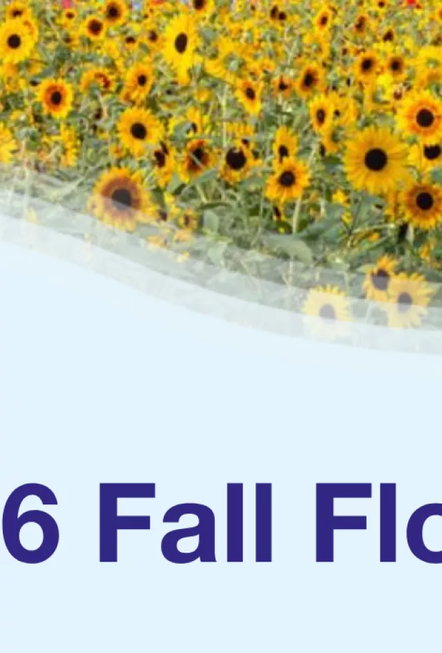 Banner with sunflowers and text “2026 Fall Flower Trials”