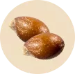home-product-category-seeds