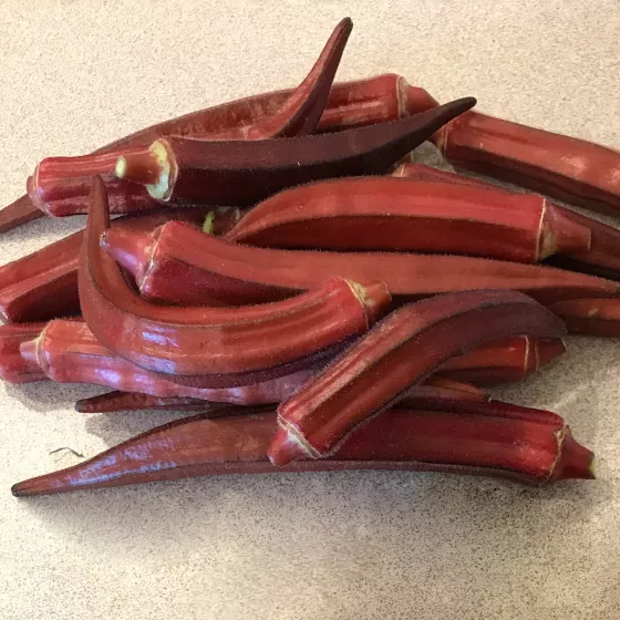 hr_70093984_4.jpg