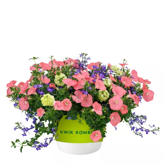 Surfside Sunrise™ Mix