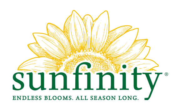Sunfinity® Yellow Dark Center