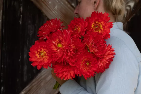 Karma Irene Red Orange