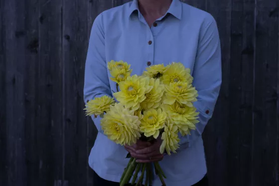 Karma Moon Lady Yellow