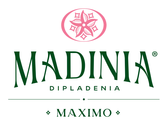 Madinia® Maximo Red