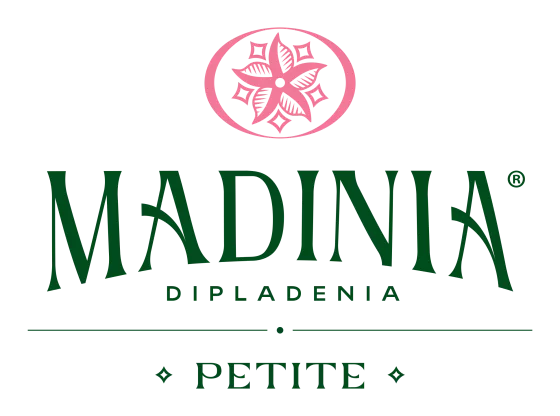 Madinia® Petite Red