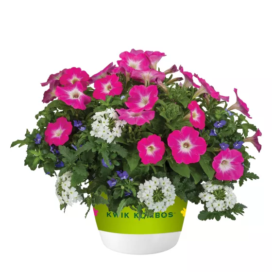 Spring Breeze™ Mix
