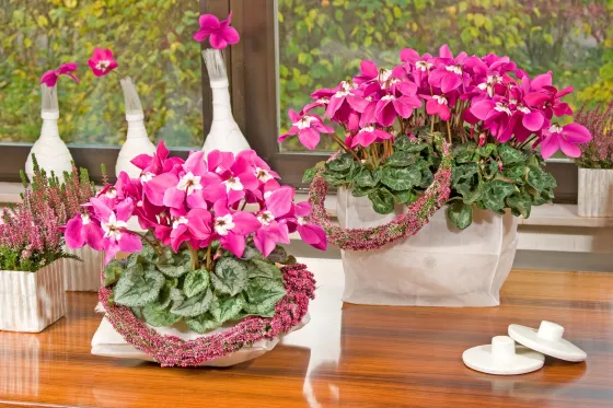 Fleur En Vogue™ Purple