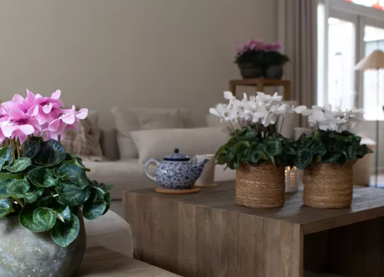 Fleur En Vogue™ White