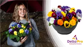 delta-pro-pansy-brand