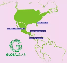 Map of America, Global GAP Logo