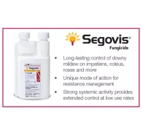 segovis-fungicide