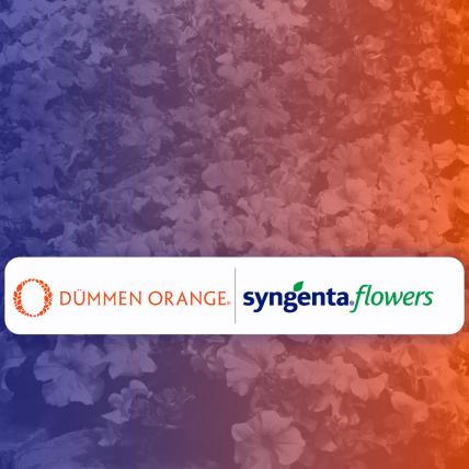 Flower Joint Venture