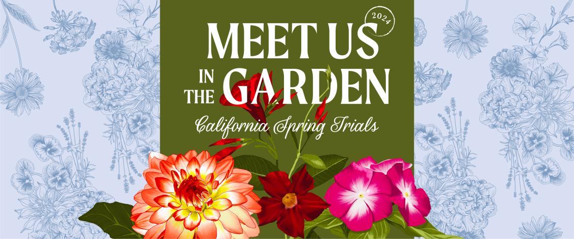 Meet us in the garden