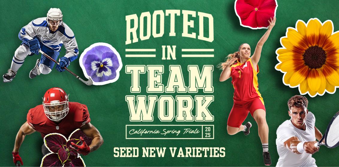 cast-2025-seed-new-varieties