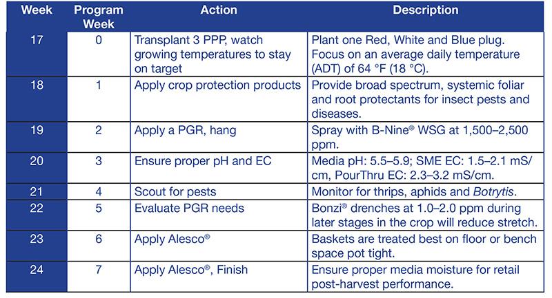 FotoFinish Chart 1