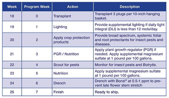 Beehive Chart