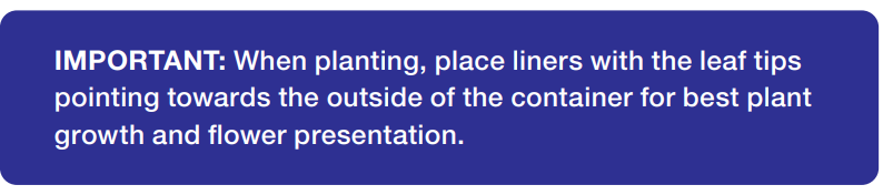Blue banner with white text: “IMPORTANT: When planting, place liners with the leaf tips pointing toward the outside of the container.”