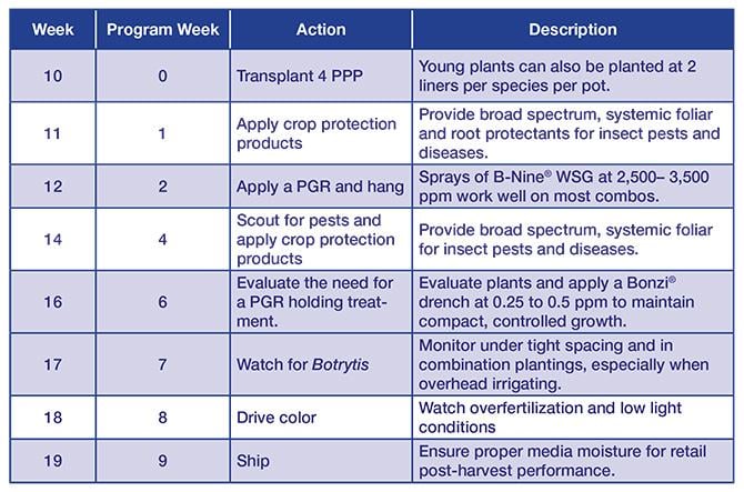 Spectra Programming